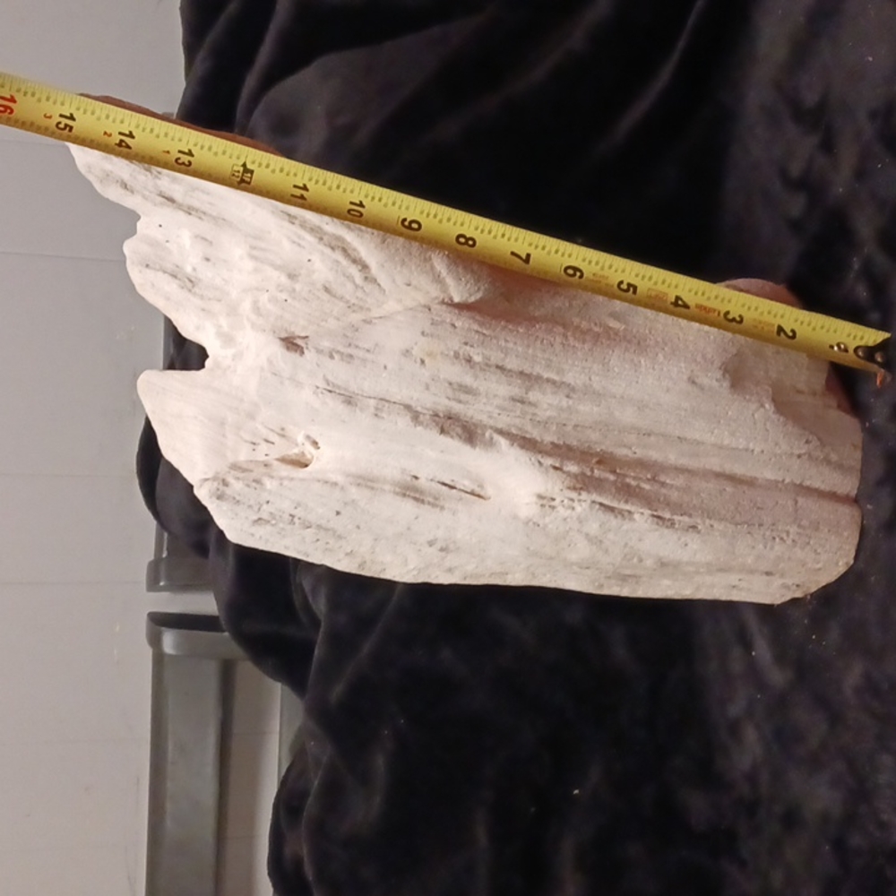 Petrified wood